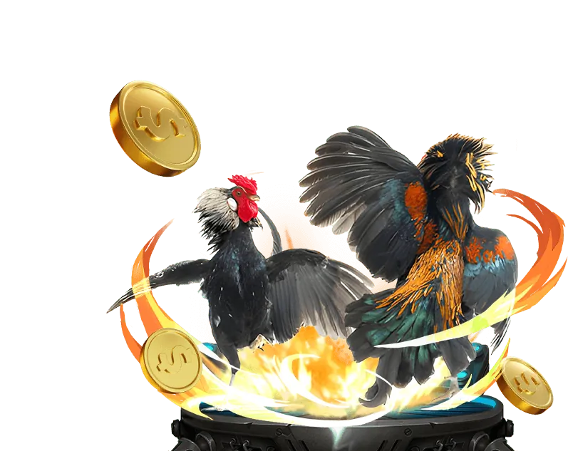 Tổng quan nền tảng đấu gà f368